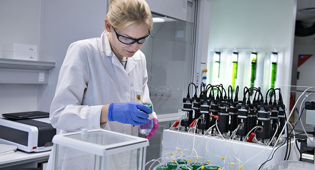 A chemist examining biological samples in a laboratory